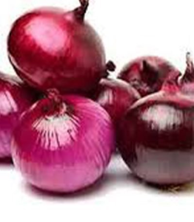 onion2