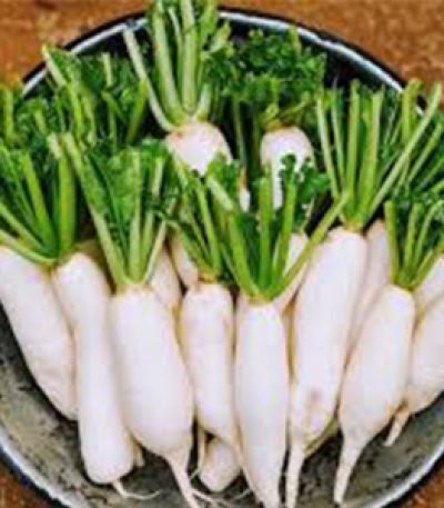 radish